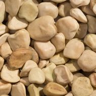 Чина Степова 21 за 1 г