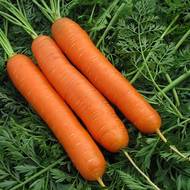 Морковь Хрустящий завтрак за 10 г