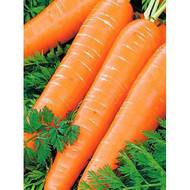 Морковь Карамелька за 20 г