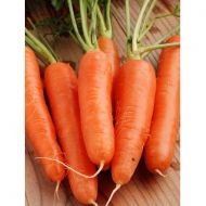 Морква Дитяча солодка за 20 г