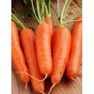 Морква Дитяча солодка за 20 г