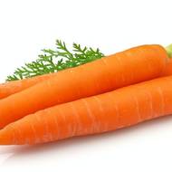 Морковь Курода Шантане за 4 г