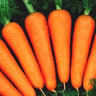 Морковь Несравненная