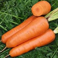 Морковь Грильяж за 20 г