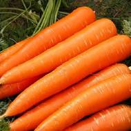 Морковь Сластена за 20 г