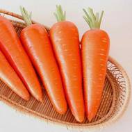 Морковь Апельсинка за 20 г