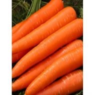 Морква Кузя лакомка за 20 г