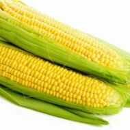 Кукуруза сахарная Брусница за 20 г