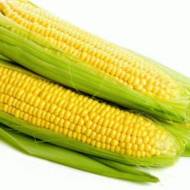 Кукуруза сахарная Брусница за 20 г