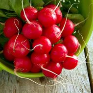 Редис Сакса