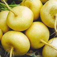 Ріпа Петрівська за 0,5 г