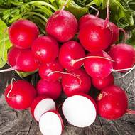 Редиска Рондар F1 за 1 г