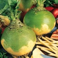 Брюква Вильгельмбургская за 0,5 г