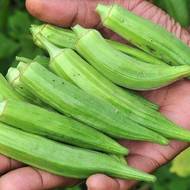 Бамия за 1 г