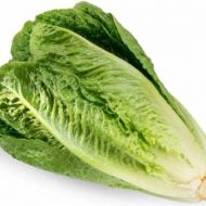 Салат Латук