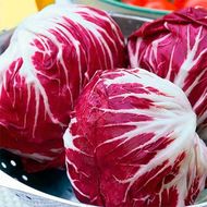 Салат цикорный Пала Роса за 1 г