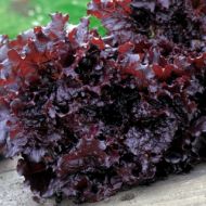 Салат Апачі за 1 г