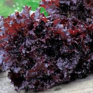 Салат Апачи за 1 г