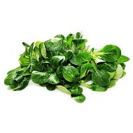 Салат Маш-салат за 0,5 г