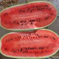 Кавун Чорний діамант за 2 г