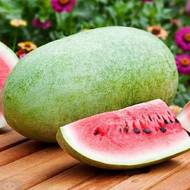 Арбуз Черный бриллиант за 2 г