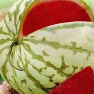 Арбуз Чумак за 1,5 г