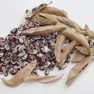 Фасоль Лимская Рождественская