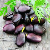 Біб Чорний за 5 нас.