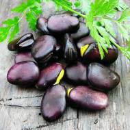 Біб Чорний за 5 нас.