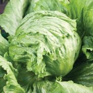 Салат Великі озера за 0,3 г