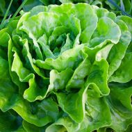 Салат Годар за 1 г