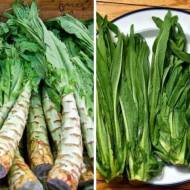 Салат Світлана – спаржевий за 0,3 г