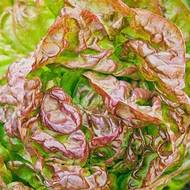 Салат Четыре сезона