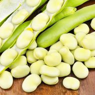 Біб білий за 5 нас.