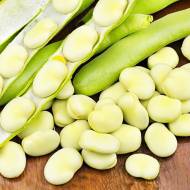 Біб білий за 5 нас.