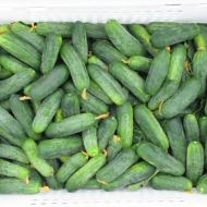 Огірок Гектор F1