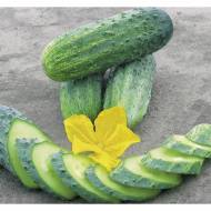 Огірок Кріспіна F1