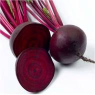 Свекла столовая Бычья кровь