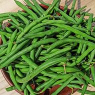 Квасоля спаржева Монтана за 10 г