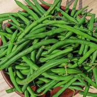 Квасоля спаржева Монтана за 10 г