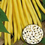 Фасоль спаржевая Бергольд за 3 г