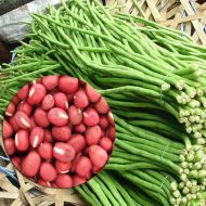 Квасоля спаржева Метро Браун за 10 г