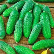 Огірок Хрустяшка F1 за 20 нас.