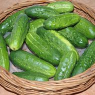 Огірок Гейм за 0,5 г