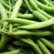 Квасоля Зодіак за 5 г