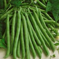 Фасоль спаржевая Скуба