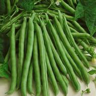 Фасоль спаржевая Скуба