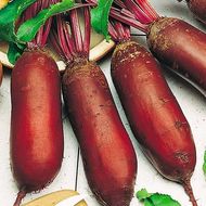 Свекла столовая Атаман