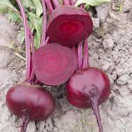 Свекла Водан F1 за 2 г