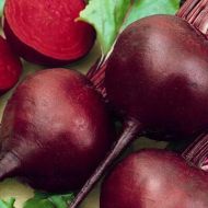 Свекла столовая Богема